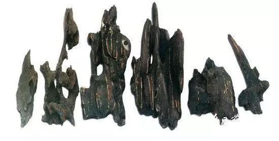 64010.jpg