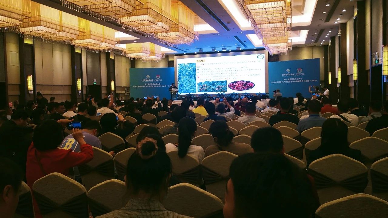 1701165867209233.jpg 1701165867209233.jpg