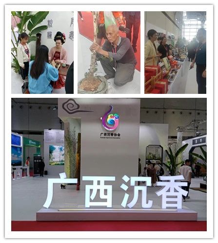 1701166053512518.jpg 7.jpg