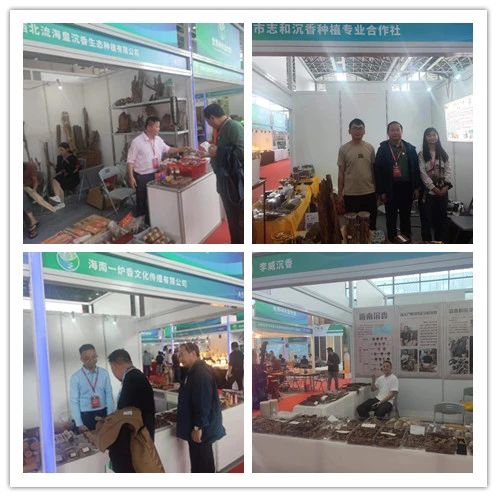 1701166101936706.jpg 8.jpg